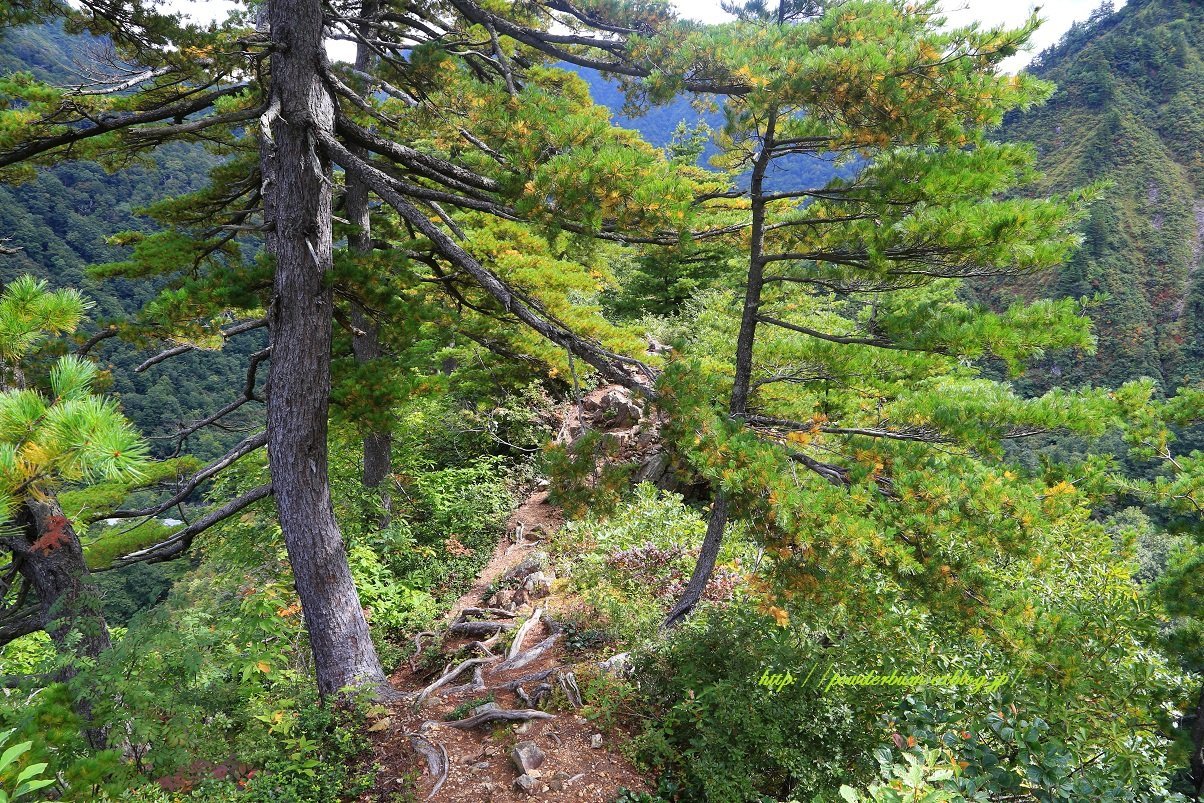 b0062024_13450005.jpg