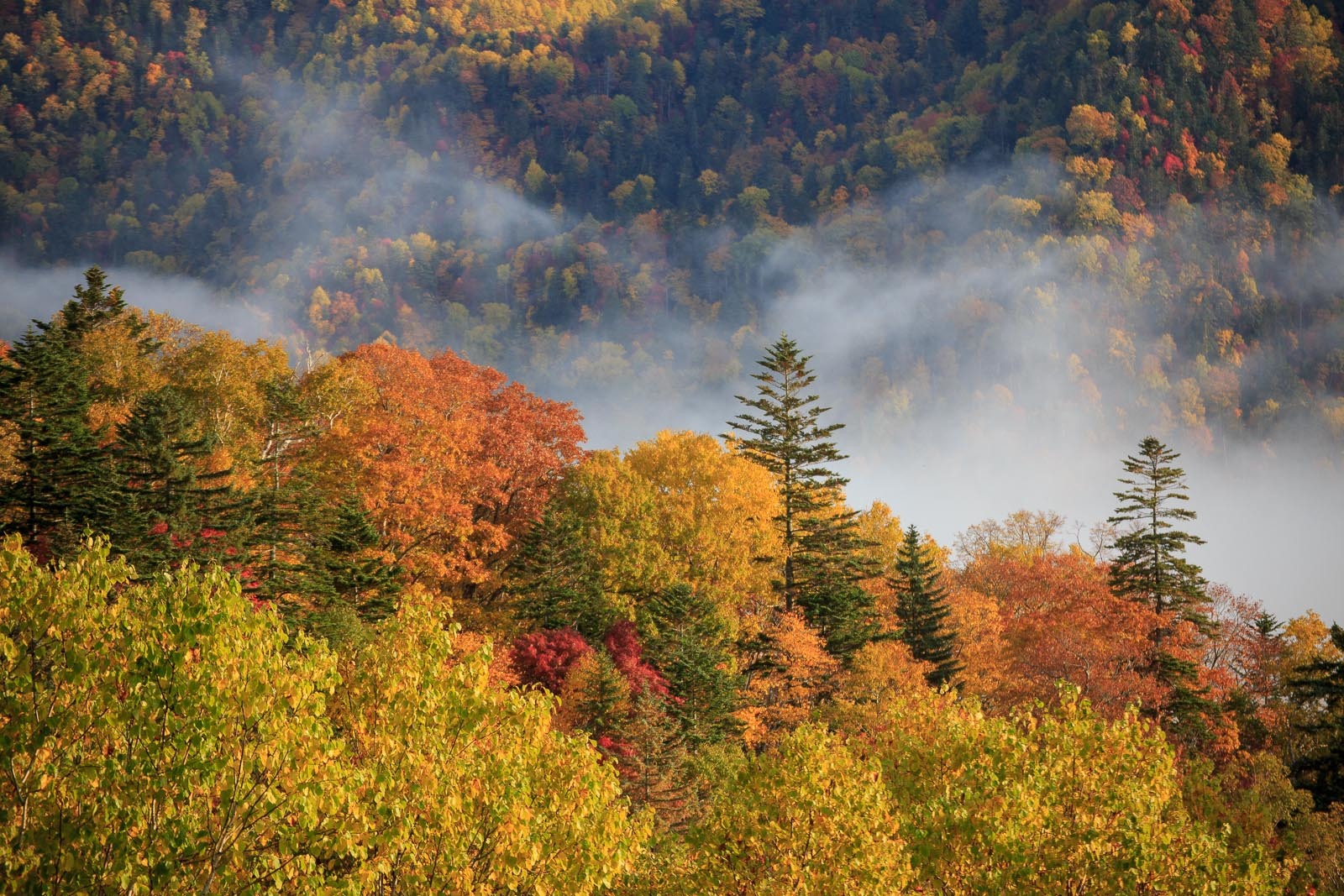 b0243727_19342400.jpg