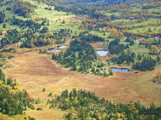 a0248728_22103695.jpg