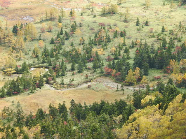 a0248728_22140110.jpg