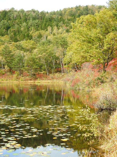 a0248728_22273596.jpg