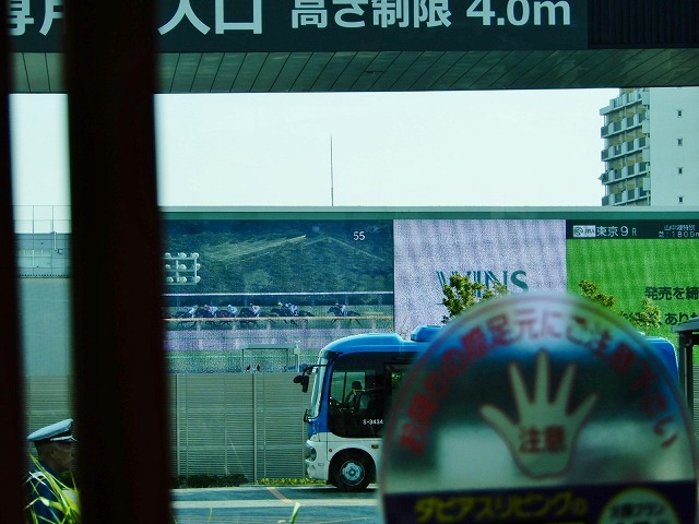 b0166128_19423318.jpg