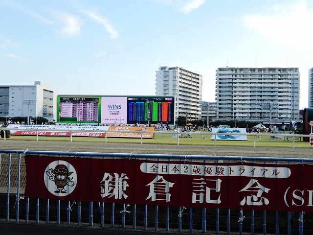 b0166128_20353429.jpg