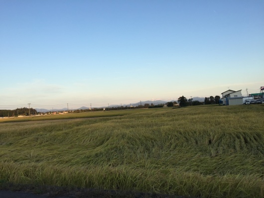 f0375928_21463655.jpeg
