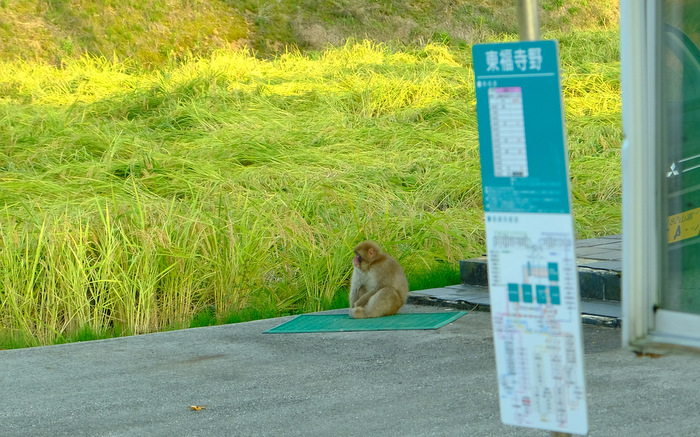 「富山・絶景ツアー ここ一番盛り上がった東福寺野テラスのふわふわドーム」_a0000029_9462785.jpg