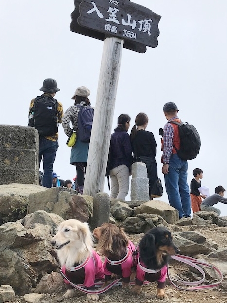c0117831_14455550.jpg