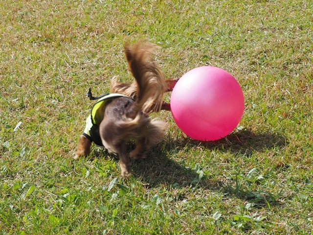 c0117831_16291240.jpg