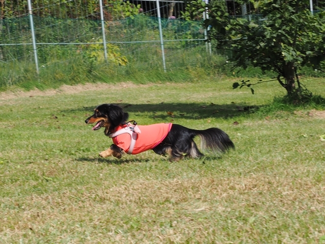 c0117831_16305084.jpg