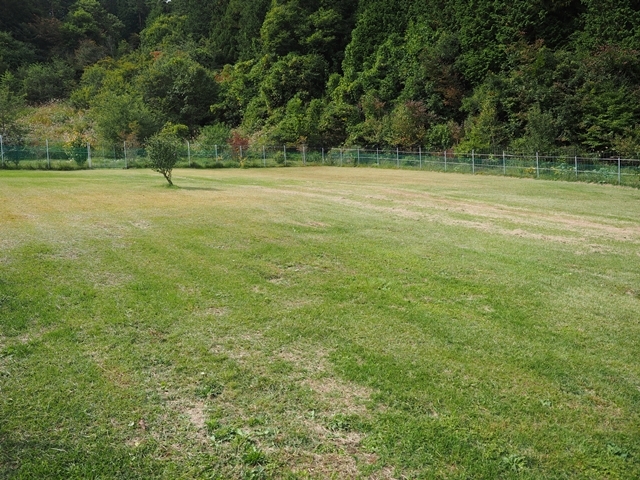 c0117831_16324762.jpg
