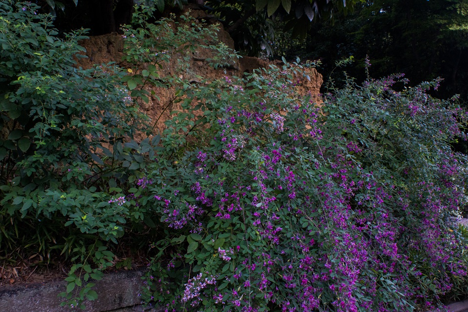 e0363038_107769.jpg