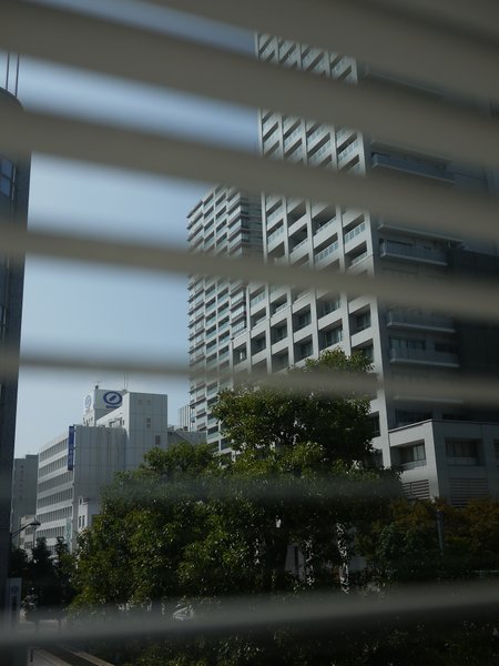b0190540_13321931.jpg