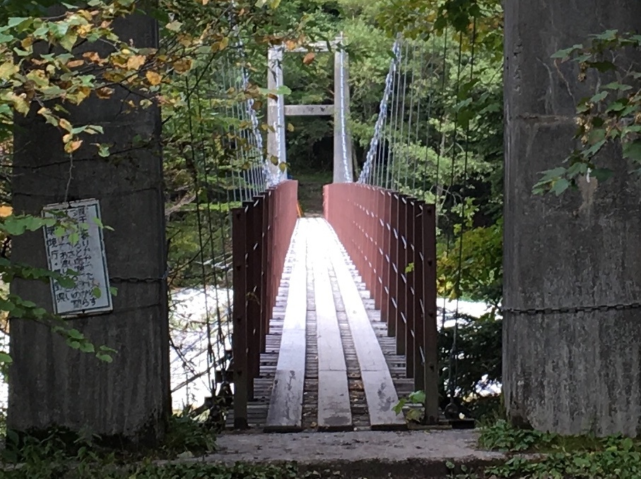 b0330040_17500306.jpeg