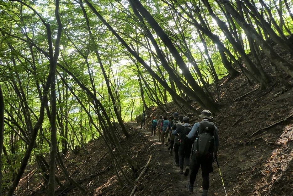 10/8~9　仲間と歩く (雲取山　その２）_d0288144_14340298.jpg