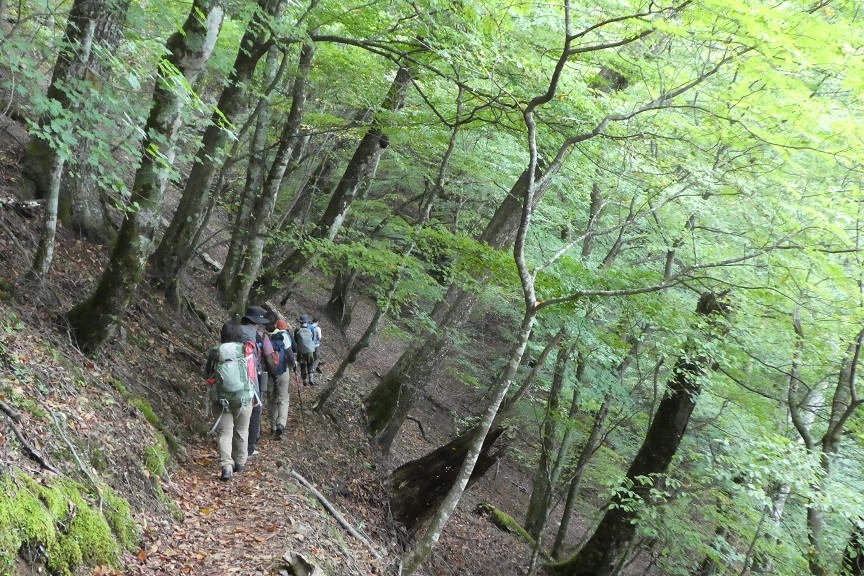 10/8~9　仲間と歩く (雲取山　その２）_d0288144_14381450.jpg