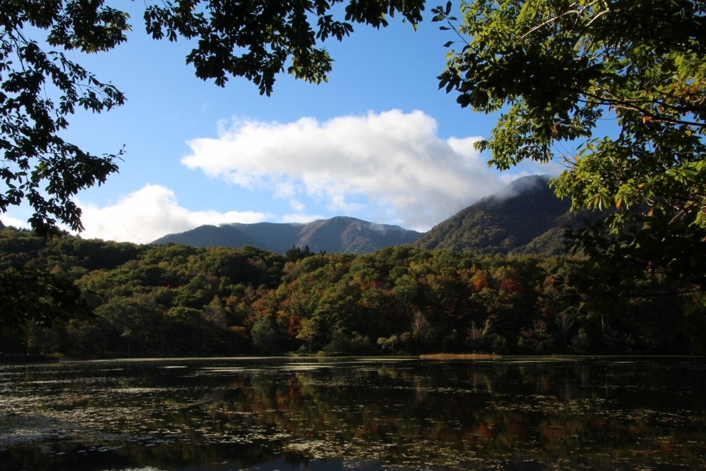 観音沼２／２　＠福島県下郷町_f0048546_23383665.jpg