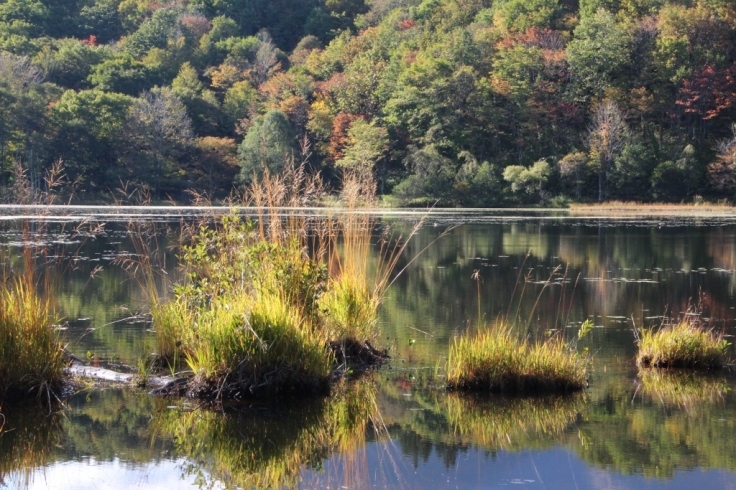 観音沼２／２　＠福島県下郷町_f0048546_23385601.jpg