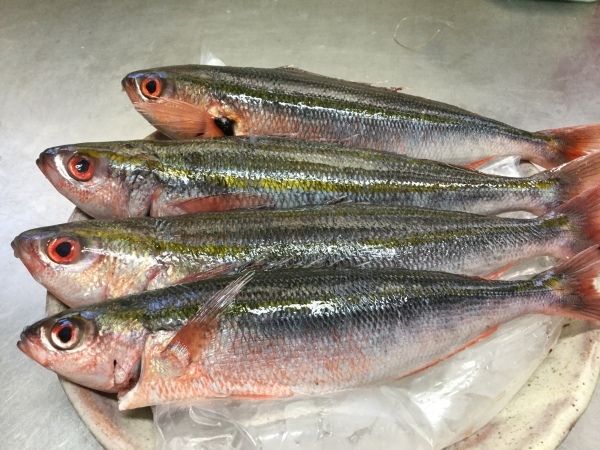 沖縄では 県魚にもなっている グルクン 入荷しました 鹿児島市の魚専門店 満田商店です