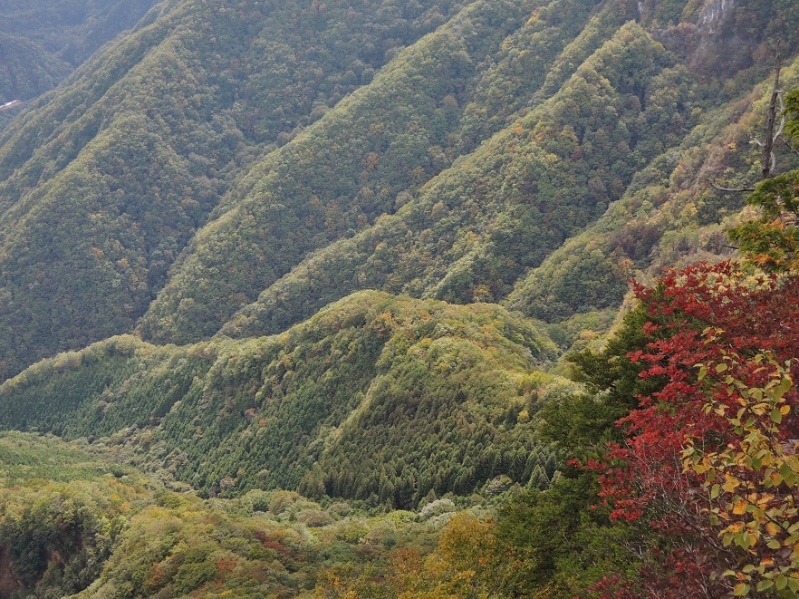 a0286351_22592408.jpg