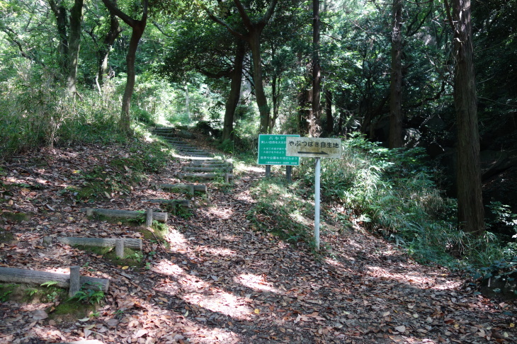 d0345153_18544390.jpg