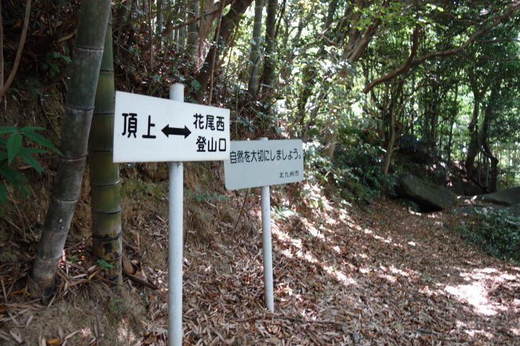 d0345153_20011990.jpg