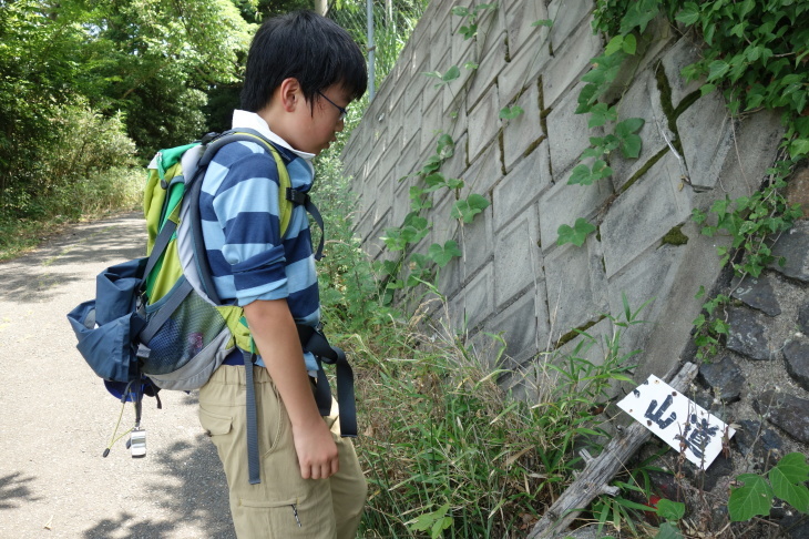 帆柱山(北九州市八幡西区)_d0345153_20042361.jpg