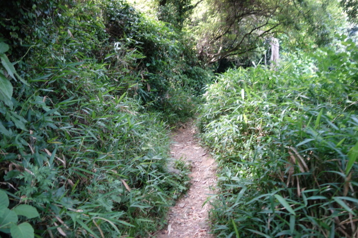 帆柱山(北九州市八幡西区)_d0345153_20052353.jpg