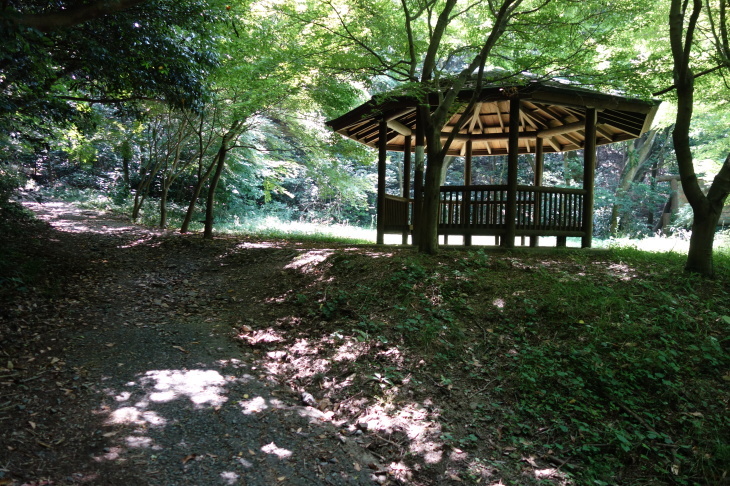 d0345153_20065415.jpg