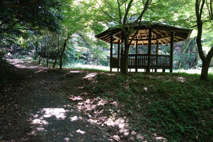 帆柱山(北九州市八幡西区)_d0345153_20065415.jpg