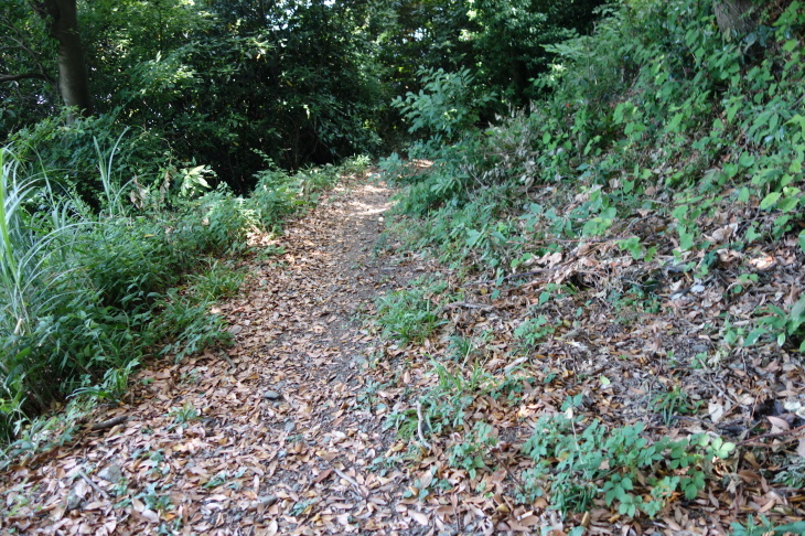 d0345153_20174324.jpg