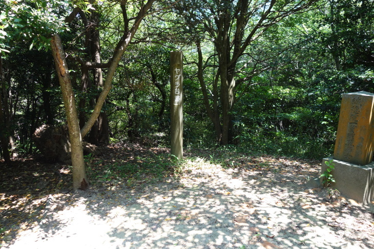 d0345153_20220307.jpg