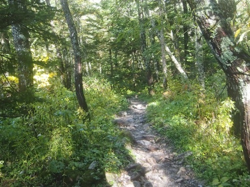 c0236857_08241855.jpg
