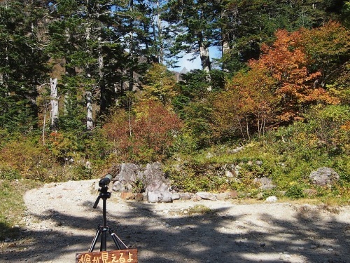 c0236857_08244892.jpg