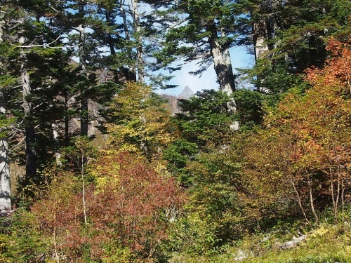 c0236857_08245873.jpg