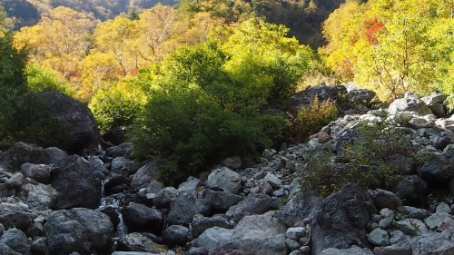 c0236857_08280683.jpg