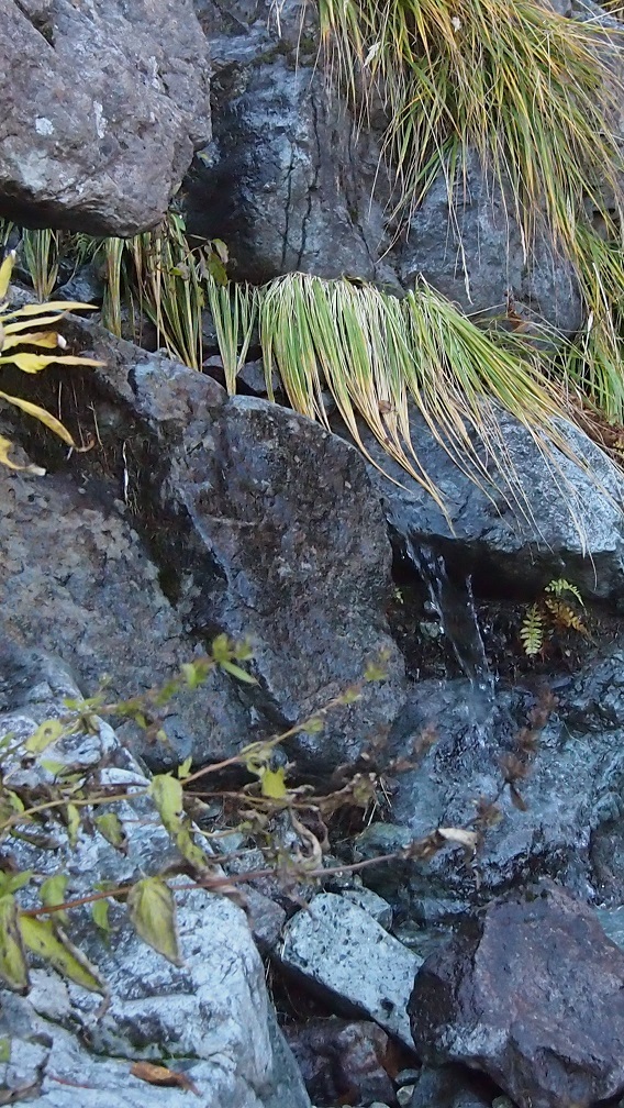 槍ヶ岳北鎌尾根登山2017　3　北鎌沢出合～P11_c0236857_08284194.jpg