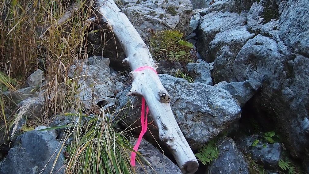 槍ヶ岳北鎌尾根登山2017　3　北鎌沢出合～P11_c0236857_08284673.jpg