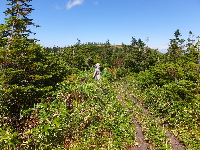 会津駒ケ岳3　駒ケ岳山頂～中門岳_b0276758_17274043.jpg