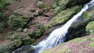 c0119160_21462387.gif