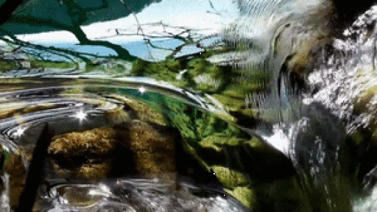 c0119160_21470711.gif