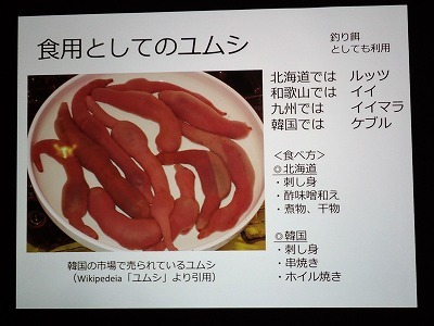 泡瀬の生きものゼミ 沖縄生活