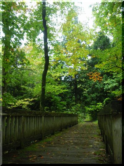 c0024861_2232272.jpg