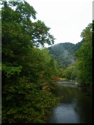 c0024861_2251518.jpg