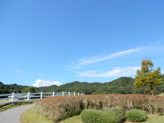 ’17,10,10(火)ブルーベリーヒルに紅葉を探しに~!_f0060461_07331337.jpg
