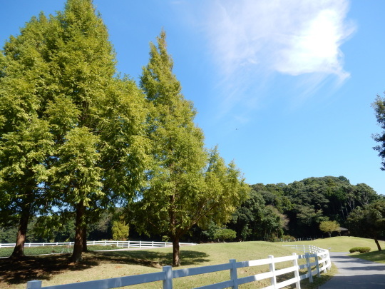 ’17,10,10(火)ブルーベリーヒルに紅葉を探しに~!_f0060461_07381321.jpg
