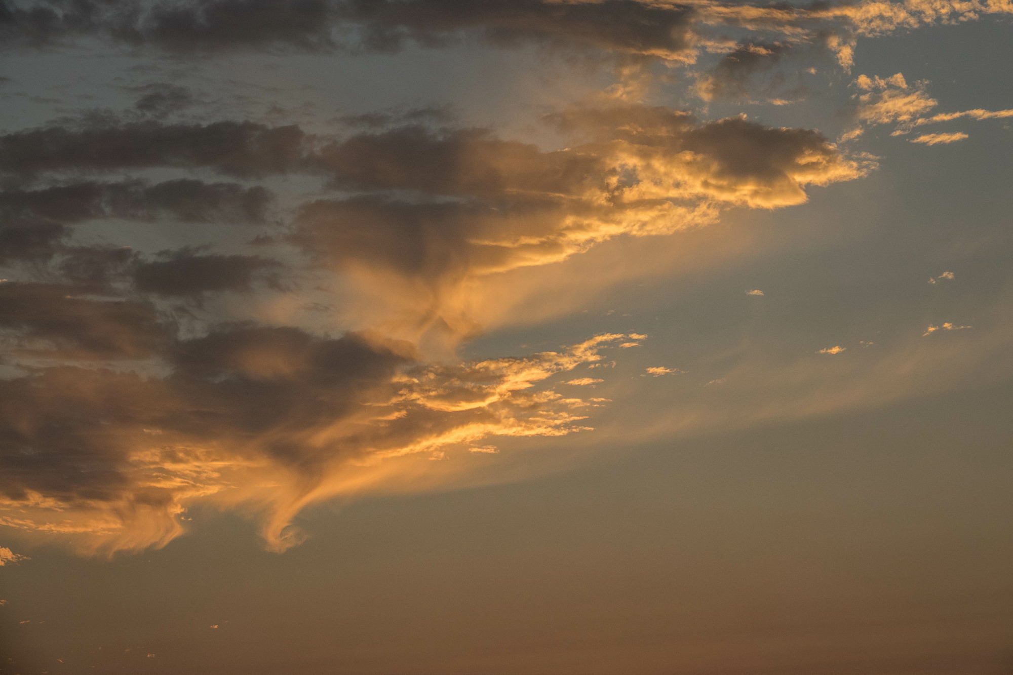 e0015567_20153819.jpg