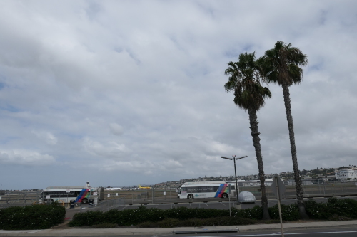 d0193569_08432288.jpg