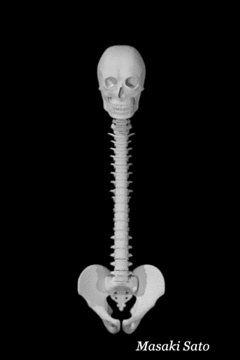 f0074992_16274029.gif
