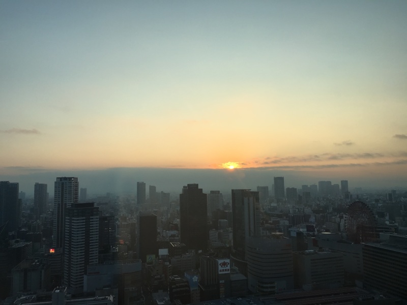 a0107193_23240337.jpeg