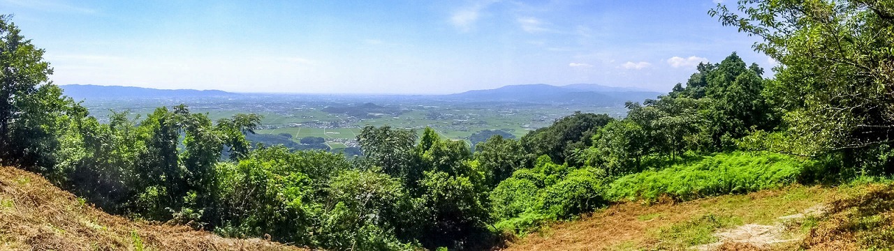 e0176993_07201559.jpg