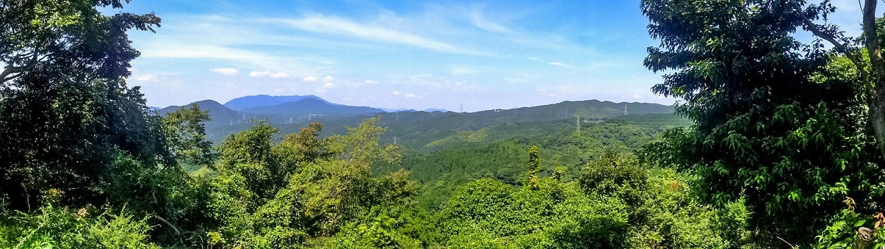 e0176993_07201620.jpg
